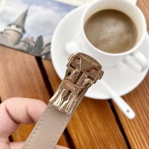 OMEGA Seamaster Skeleton Flywheel Men's Mechanical Watch