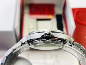 OMEGA Seamaster Diver 300m