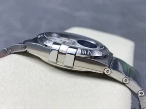Left side of the 38mm textured white model, one of the silver tone claws by the bezel