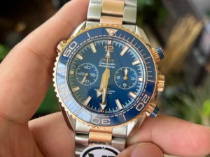Two-tone chronograph in hand, plants behind