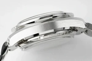Left side of the case with engraving on the caseback rim