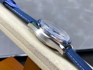 Left side of the case and the blue bezel edge