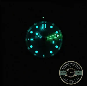 Seamaster case side profile with crown detail