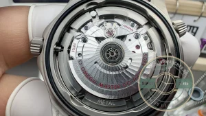 Omega Seamaster on wrist in natural lighting