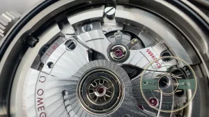 Crown and case finishing detail in studio lighting