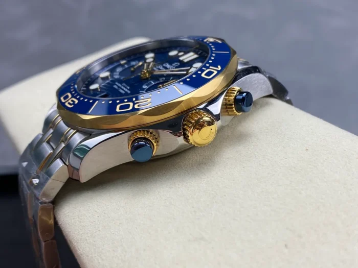 Omega Seamaster on wrist in natural lighting