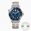 Replica Omega Seamaster Blue Dial 210.20.42.20.03.002 - Swiss Movement Replica Watch