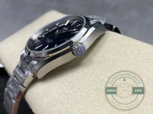 Omega Seamaster Blue on wrist in natural lighting