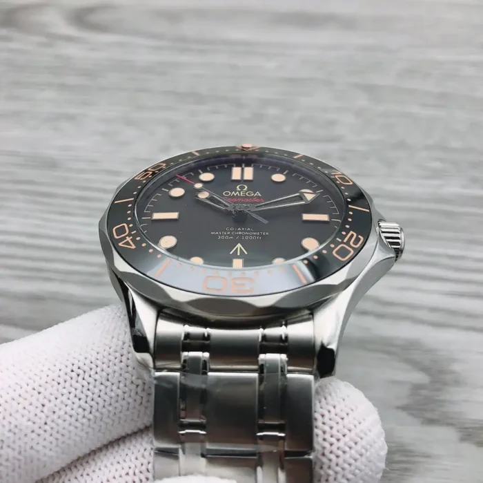 Omega Seamaster on wrist in natural lighting