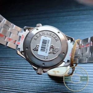 Omega Seamaster on wrist in natural lighting