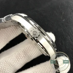 Seamaster case side profile with crown detail