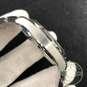 Omega Seamaster Blue on wrist in natural lighting