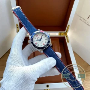 Replica Omega Seamaster Planet Ocean 6000M 215.32.43.21.04.001 - Luxury Replica Watch