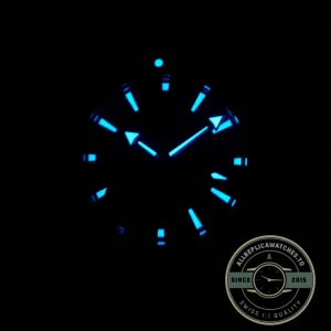 Replica Omega Seamaster Planet Ocean 600M Titanium 215.90.46.51.99.001 - Swiss-Made Clone Watch