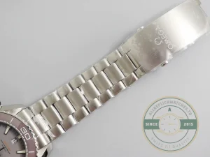 Replica Omega Seamaster Planet Ocean 600M Titanium 215.90.46.51.99.001 - Premium Super Clone Watch