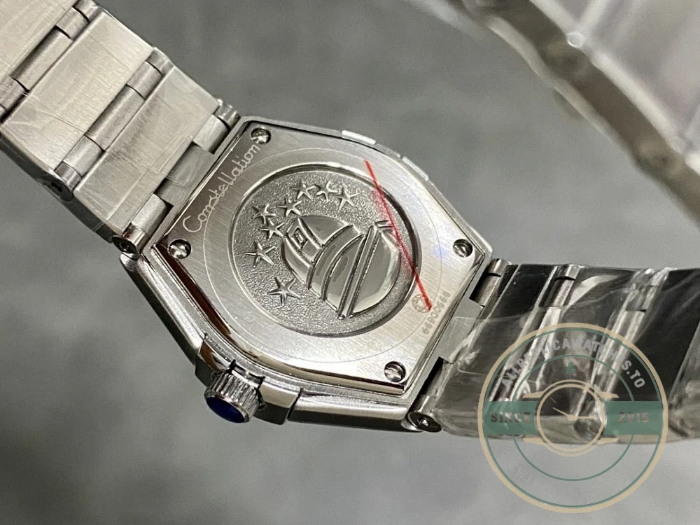 Steel bracelet strap detail with clasp