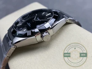 Steel bracelet strap detail with clasp