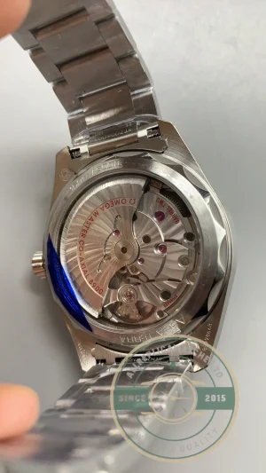 Omega Seamaster on wrist in natural lighting