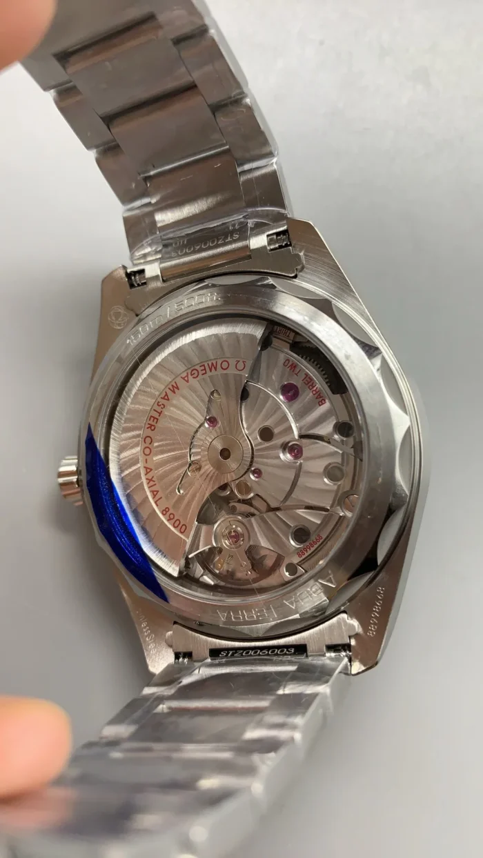 Omega Seamaster on wrist in natural lighting