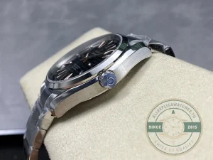 Seamaster 42mm case side profile with crown detail