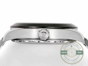 Crown and case finishing detail in studio lighting