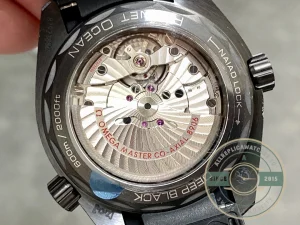 Omega Seamaster on wrist in natural lighting