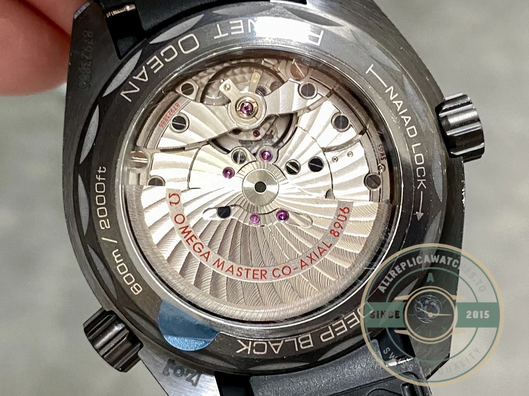 Omega Seamaster on wrist in natural lighting