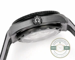 Superclone Seamaster PLANET OCEAN 600M 45.5mm Black Ceramic 215.92.46.22.01.007 - Swiss Movement Replica Watch