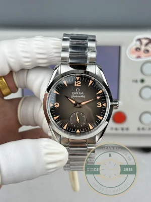 Omega Seamaster Brown on wrist in natural lighting